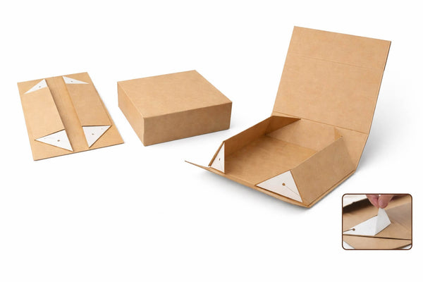 Collapsible Box