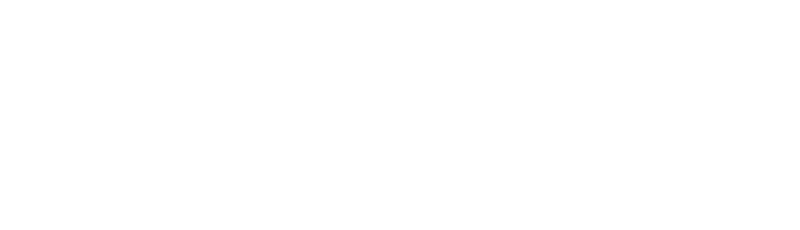Borg El Arab Press